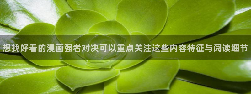 七七漫画免费在线阅读:想找好看的漫画强者对决可以重点关注这些内容特征与阅读细节