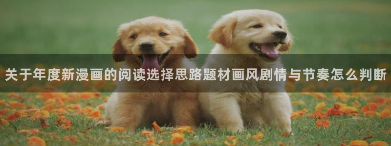 七七漫画歪歪漫画：关于年度新漫画的阅读选择思路题材画风剧情与节奏怎么判断