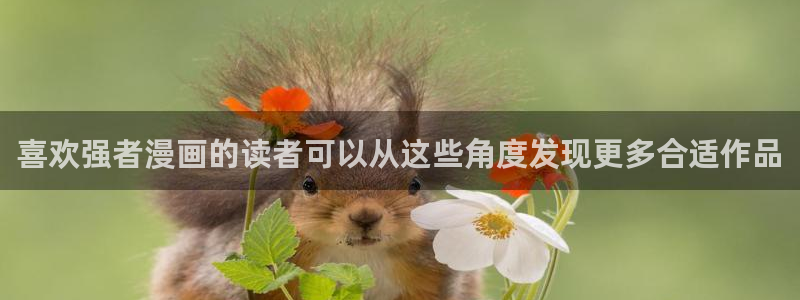 歪歪漫画最新地址入口：喜欢强者漫画的读者可以从这些角度发现更多合适作品
